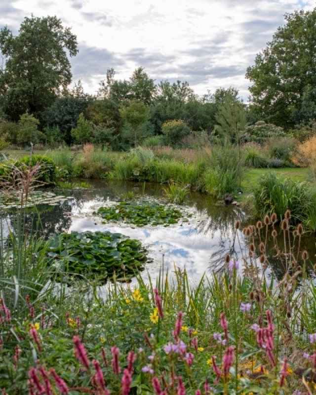 De beste levende tuin: winnaars aan het woord