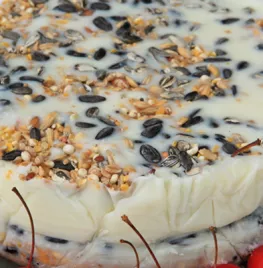 Diner voor vogels