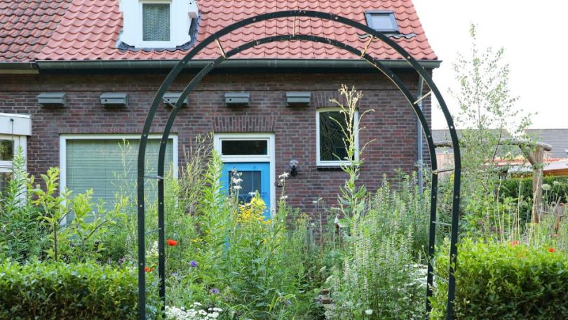 Zo transformeerde Katja in 1,5 jaar tijd haar saaie tuin in een levendige dwaaltuin