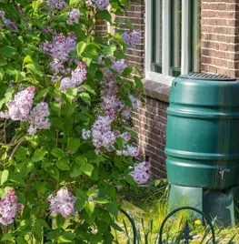 Wees wijs met water