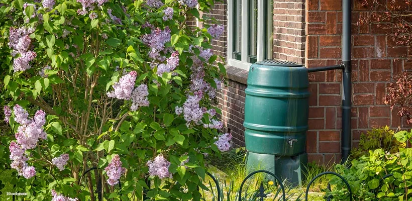 Wees wijs met water
