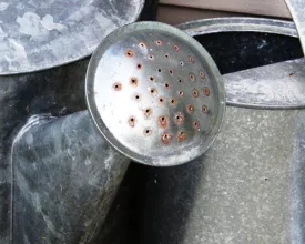Water geven en mulchen (video)