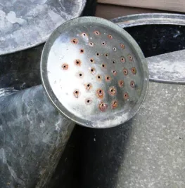 Water geven en mulchen (video)