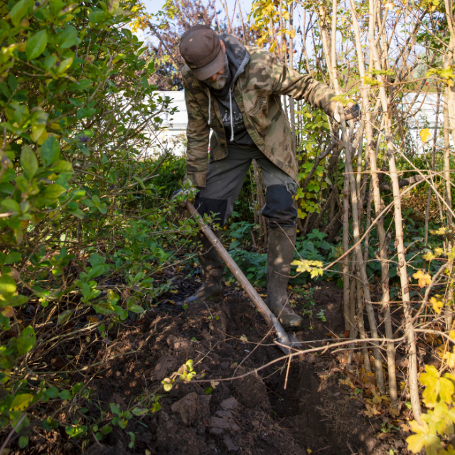 Ecologisch tuinieren in november