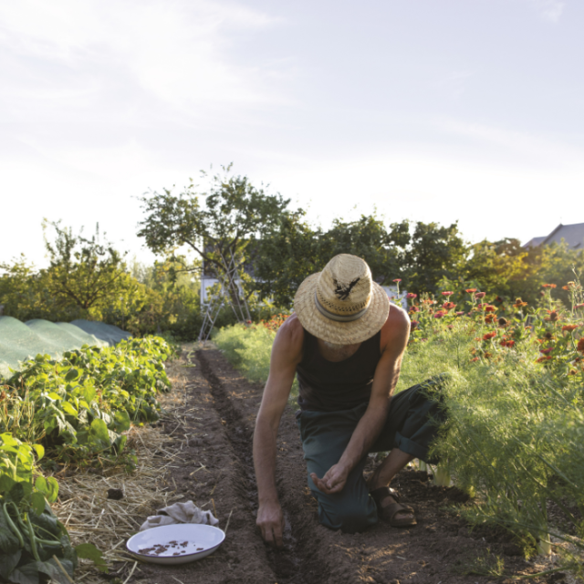 Ecologisch tuinieren in juli en augustus
