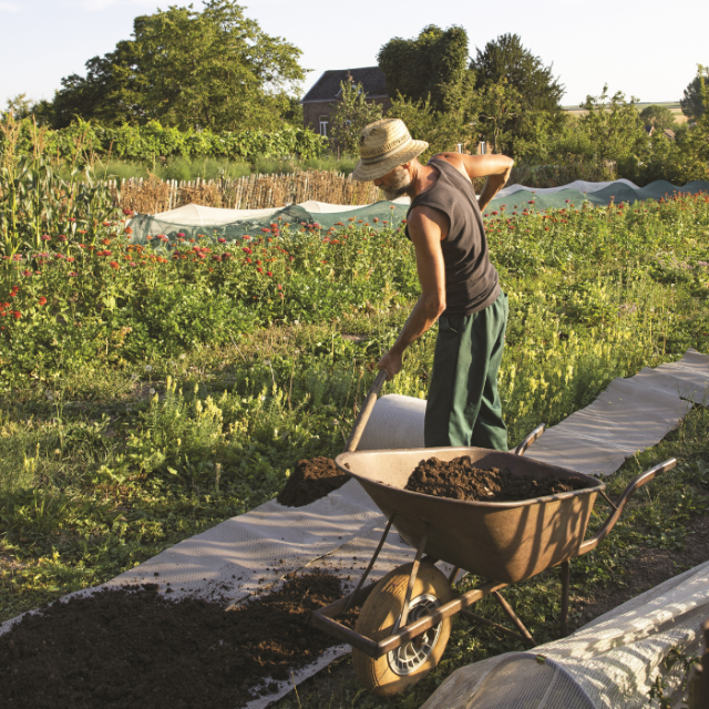Ecologisch tuinieren in juli en augustus