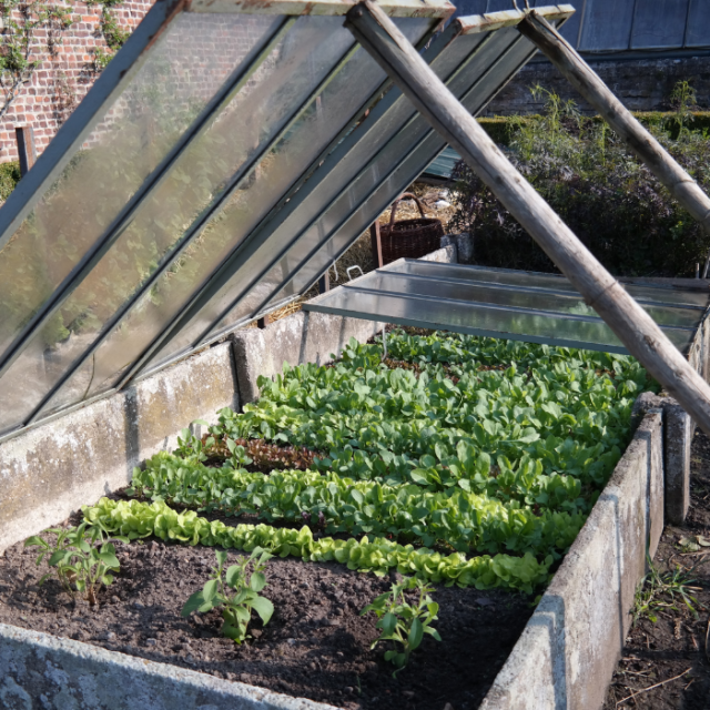 Ecologisch tuinieren in maart