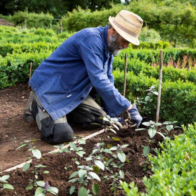 Ecologisch tuinieren in mei