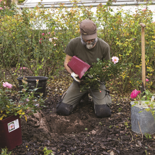 Ecologisch tuinieren in oktober