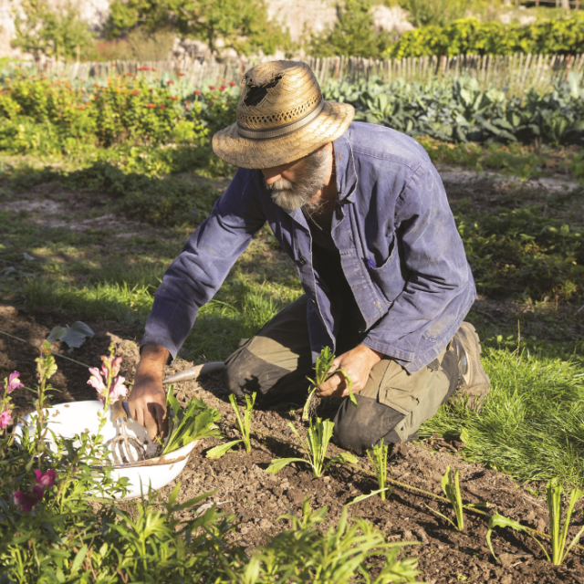 Ecologisch tuinieren in september