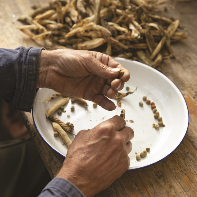 Ecologisch tuinieren in september