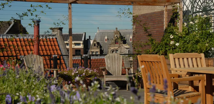 De beste planten voor je dakterras