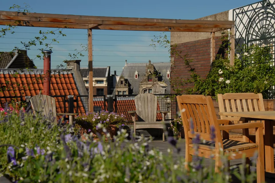 Afbeelding De 8 beste planten voor je dakterras