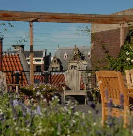 De beste planten voor je dakterras