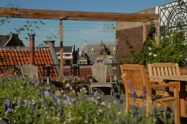 De beste planten voor je dakterras