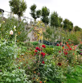 Ecologisch tuinieren in oktober