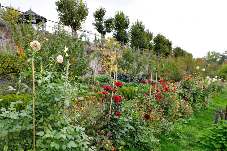 Afbeelding Ecologisch tuinieren in oktober