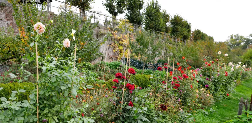 Ecologisch tuinieren in oktober