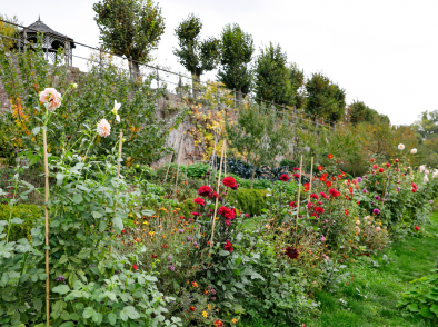 Ecologisch tuinieren in oktober