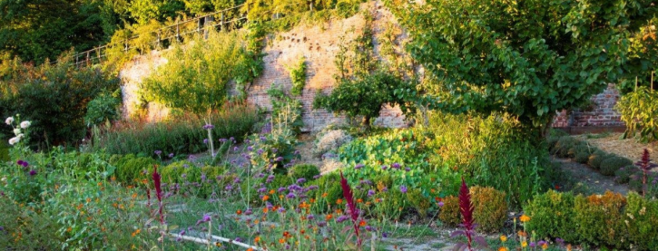 Ecologisch tuinieren in juli en augustus