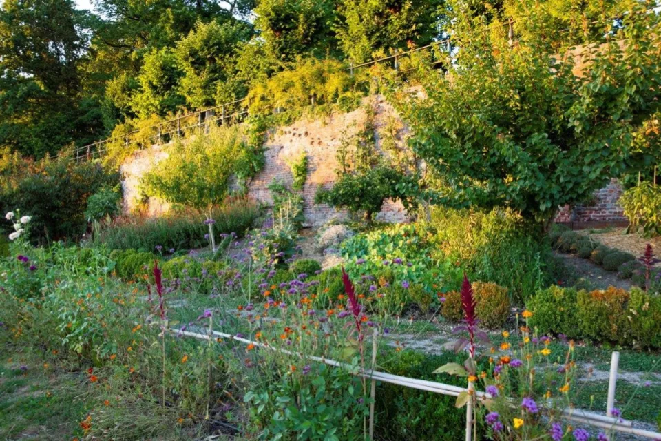 Afbeelding Ecologisch moestuinieren in de zomer