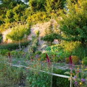 Ecologisch tuinieren in juli en augustus