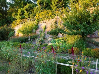 Ecologisch tuinieren in juli en augustus