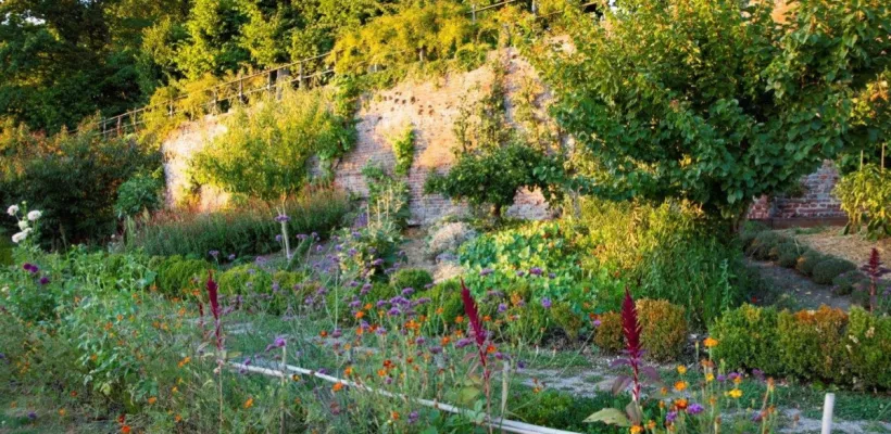 Ecologisch tuinieren in juli en augustus