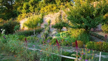 Ecologisch moestuinieren in de zomer