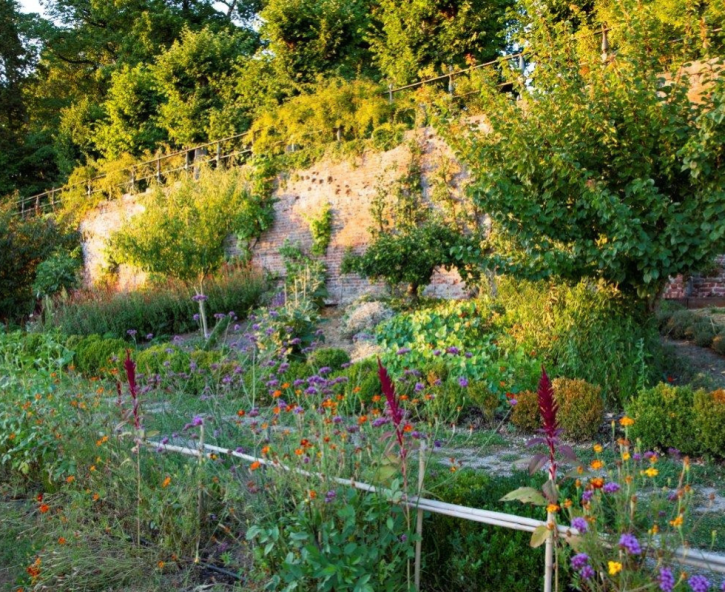 Ecologisch tuinieren in juli en augustus