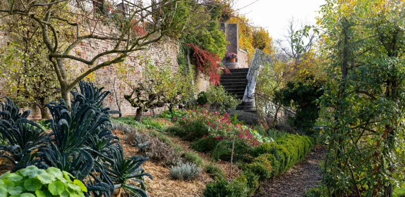 Ecologisch tuinieren in november