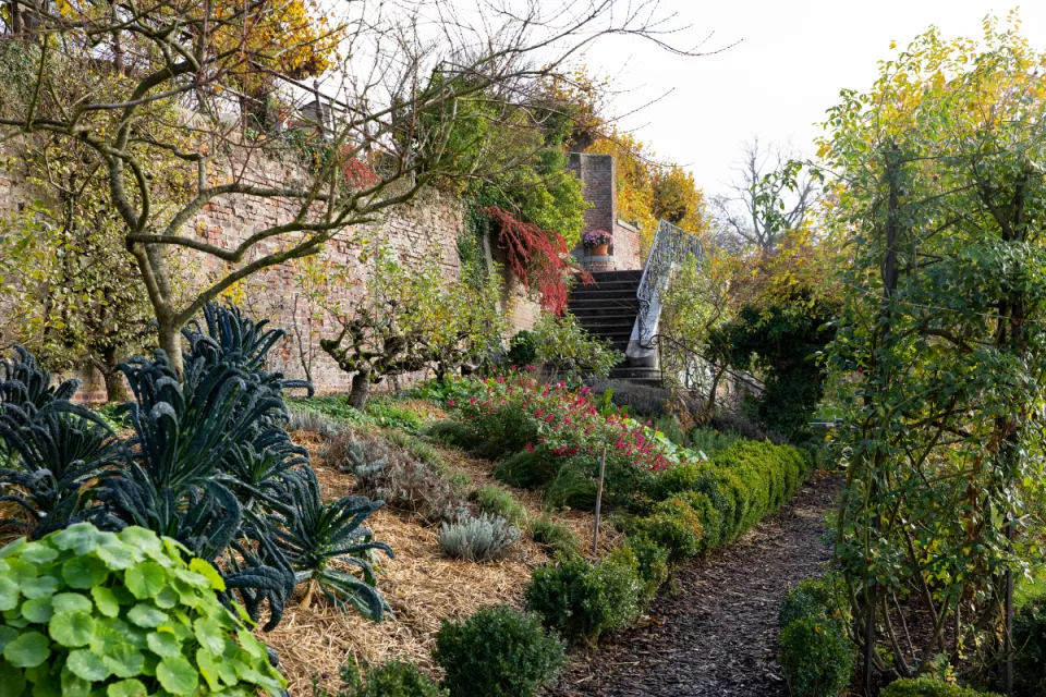 Afbeelding Ecologisch tuinieren in november