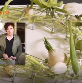 Voorjaarskrans met web van wol (video)