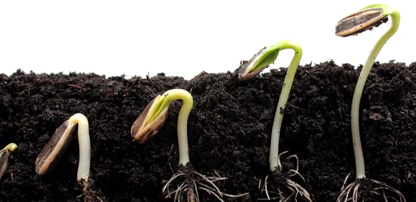 Zelf zaaipotjes maken (video)