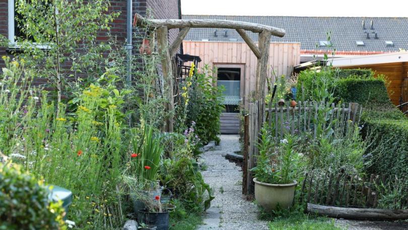 Zo transformeerde Katja in 1,5 jaar tijd haar saaie tuin in een levendige dwaaltuin