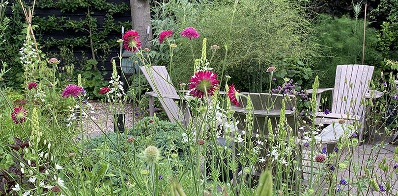 G&B OpentuinTV: Tuin van Liesbeth en Just van Duin in Heiloo