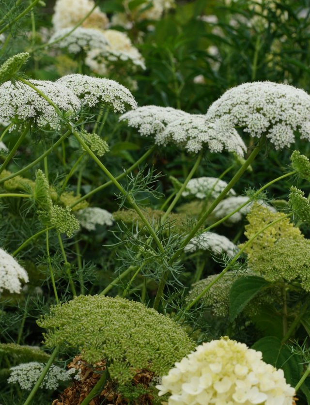 Zaaien lukt niet? Waarschijnlijk ligt het hieraan