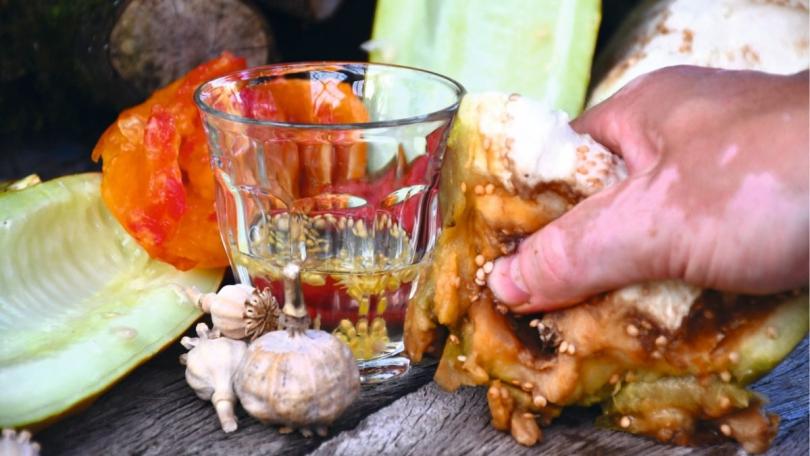 Groentezaden oogsten: zo doe je dat (video)