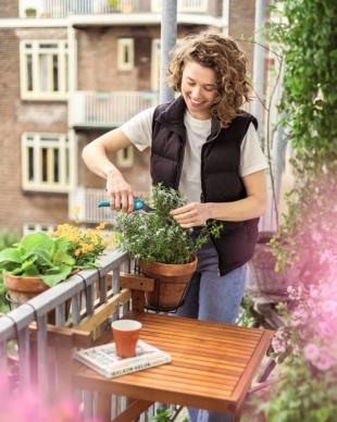 Zo blijven je balkonplanten bloeien in augustus: 3 tips