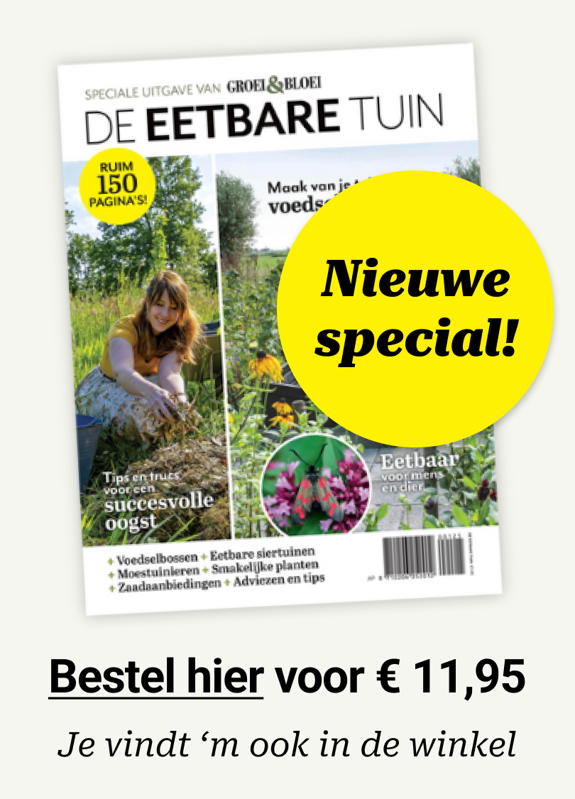 Groei header ad