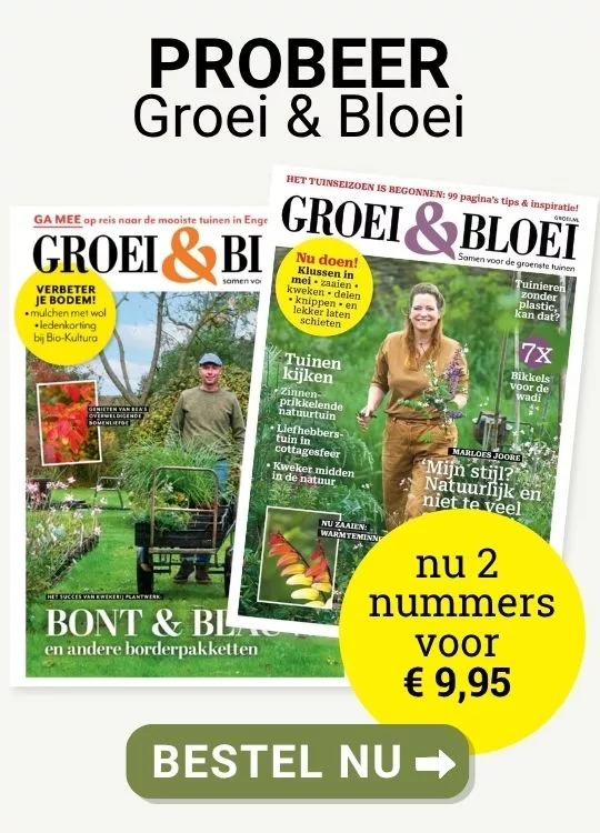 Advertentie