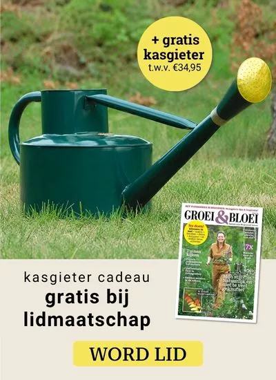 Advertentie