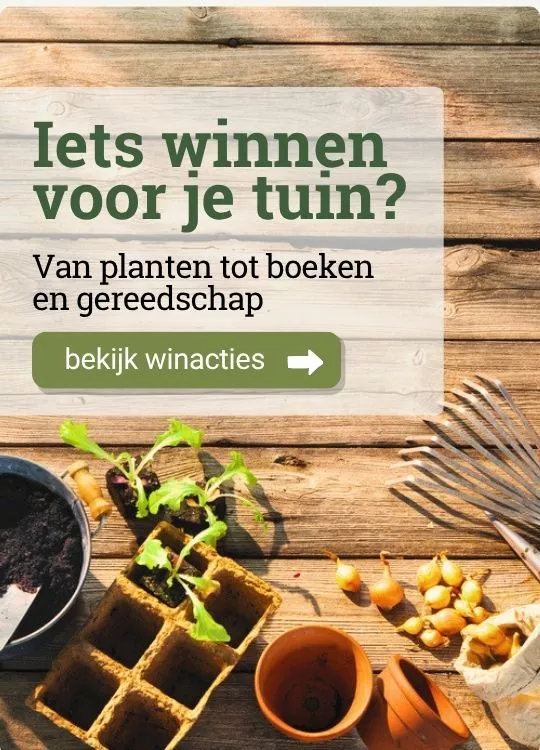 Advertentie