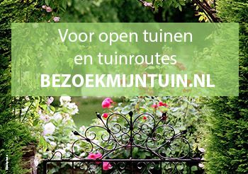 Groei header ad