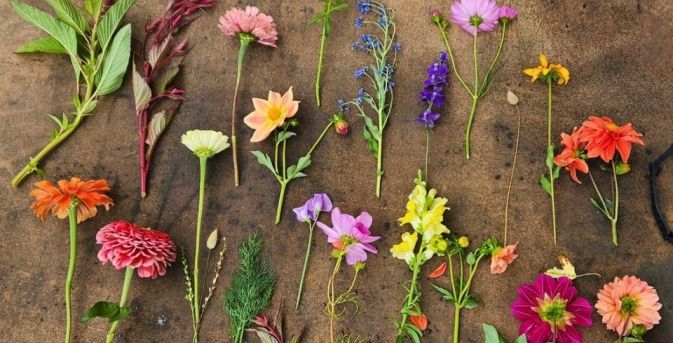 Beginnen met bloemschikken: leer kijken, kiezen en opbouwen