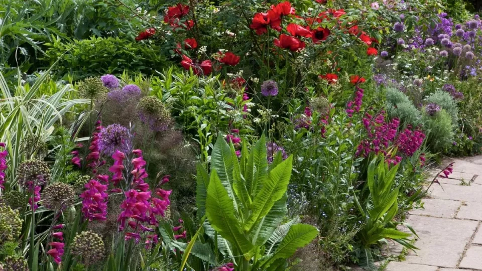 Afbeelding Beplantingsplan: de kleurrijke Long Border van Great Dixter
