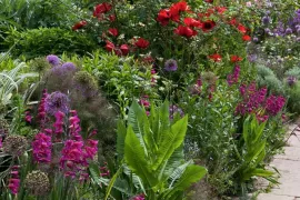 Beplantingsplan: de kleurrijke Long Border van Great Dixter