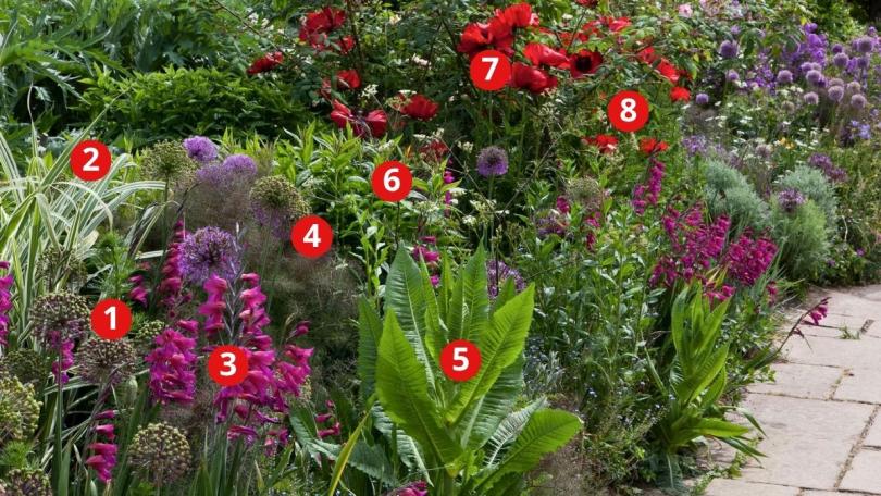 Beplantingsplan: de kleurrijke Long Border van Great Dixter