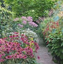 Beplantingsplan: 6 sterke planten voor een volle, langbloeiende border