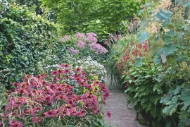 Beplantingsplan: 6 sterke planten voor een volle, langbloeiende border